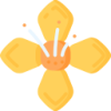 华体会APP logo